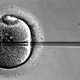 Illustration for article titled US Congress Wants Religious Experts to Weigh in on Three-Parent IVF